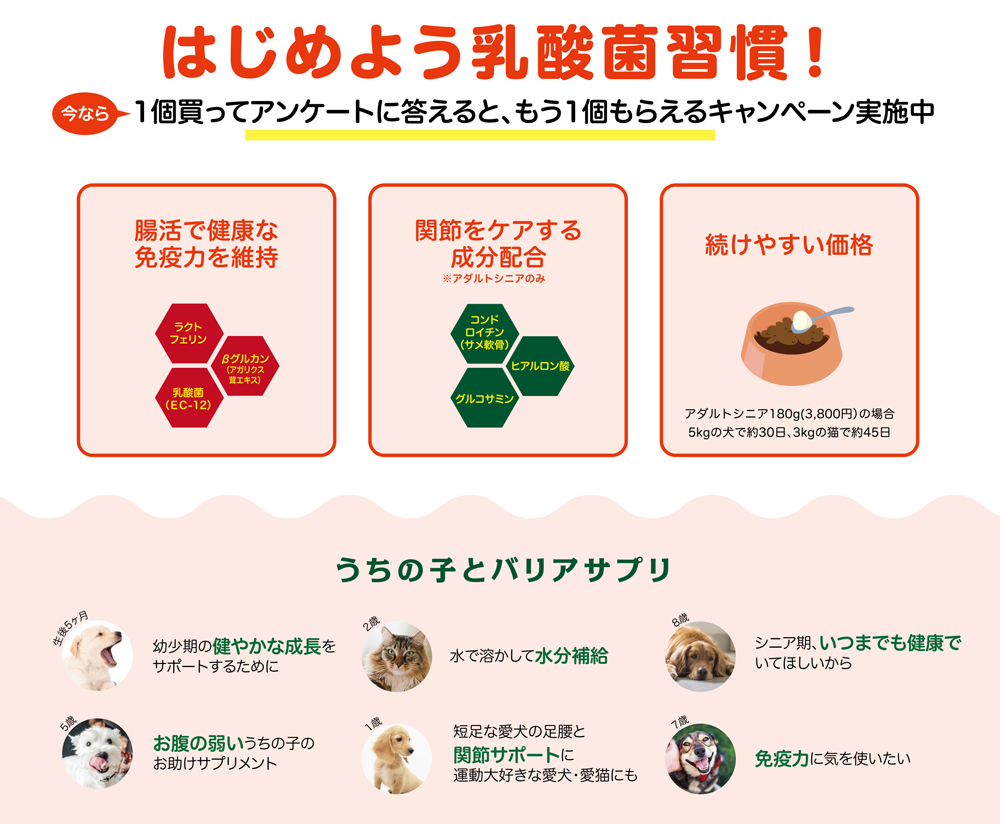 キャンペーン：乳酸菌サプリ　バリアサプリ｜犬のベッド：アンベルソ