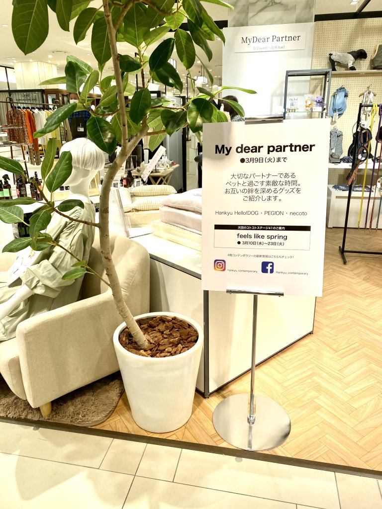 イベント：阪急うめだ本店4階　「My dear partner」に出店｜犬のベッド：アンベルソ