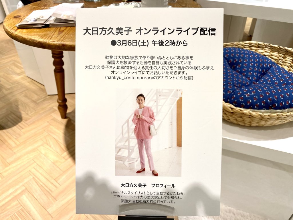 大日方久美子さまのインスタライブ：阪急うめだ本店4階　「My dear partner」に出店｜犬のベッド：アンベルソ