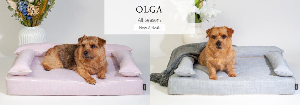 新商品：オルガ｜犬のベッド：アンベルソ