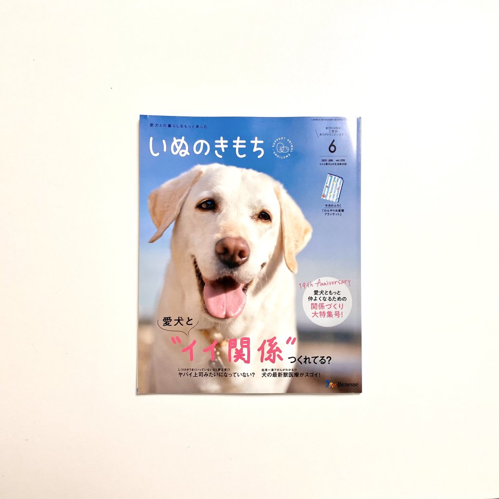 『いぬのきもち』最新号に掲載｜犬のベッド：アンベルソ