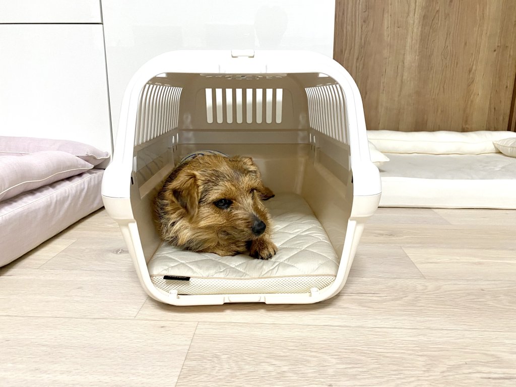 ロイヤルベッド本体（ダブルクッション） for リッチェル製キャンピングキャリー｜犬のベッド：アンベルソ