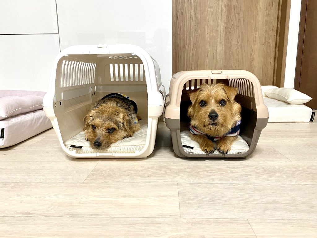 ロイヤルベッド本体（ダブルクッション） for リッチェル製キャンピングキャリー｜犬のベッド：アンベルソ
