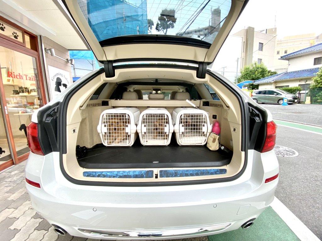 ロイヤルベッド本体（ダブルクッション） for リッチェル製キャンピングキャリー｜犬のベッド：アンベルソ
