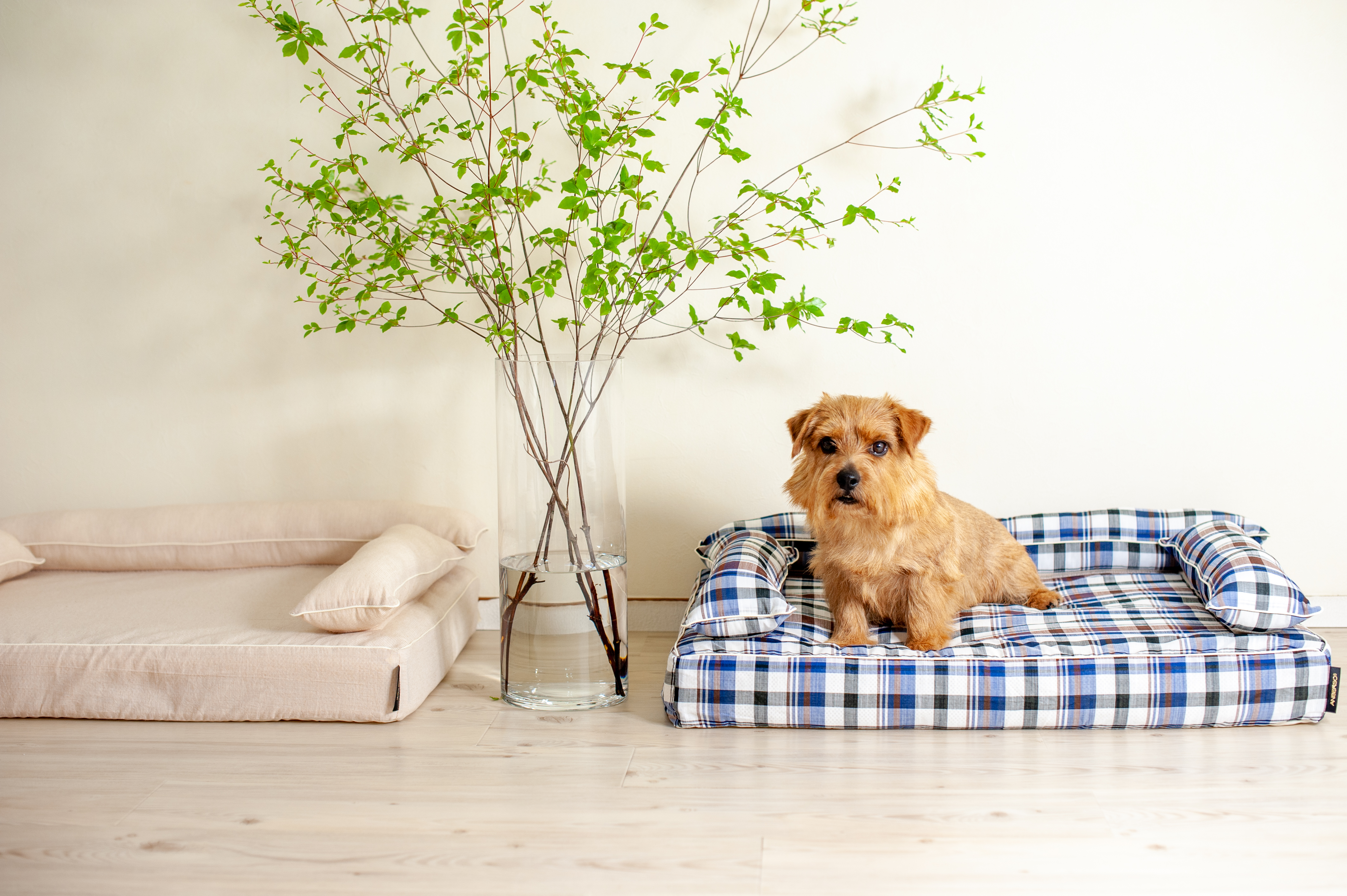 あご乗せクッション付きカバー：ジュリオ｜犬のベッド：アンベルソ