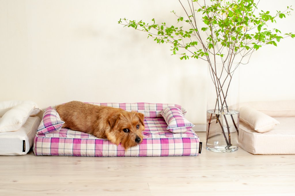 あご乗せクッション付きカバー：リン｜犬のベッド：アンベルソ