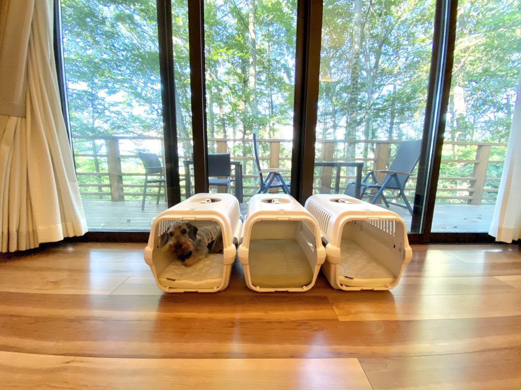看板犬の夏休み at 軽井沢｜犬のベッド：アンベルソ