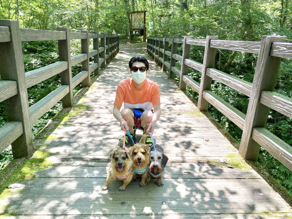 看板犬の夏休み at 軽井沢｜犬のベッド：アンベルソ