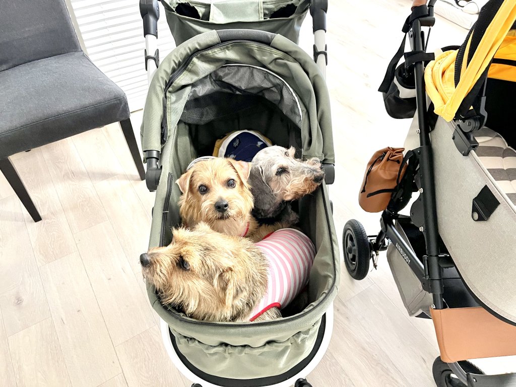 カート比較：ラージサイズ｜犬のベッド：アンベルソ