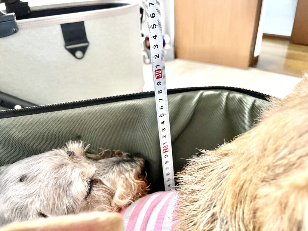 カート比較：ラージサイズ｜犬のベッド：アンベルソ