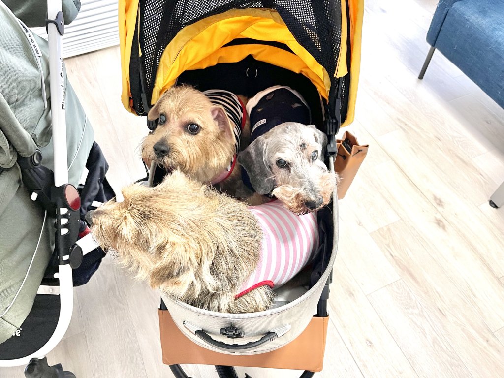 カート比較：ラージサイズ｜犬のベッド：アンベルソ