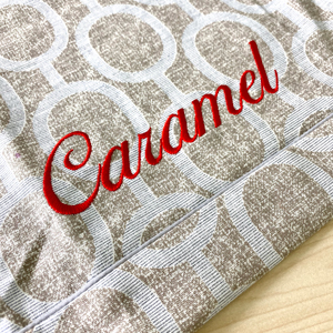 ネーム刺繡：エルモ（アクアグレー）｜犬のベッド：アンベルソ