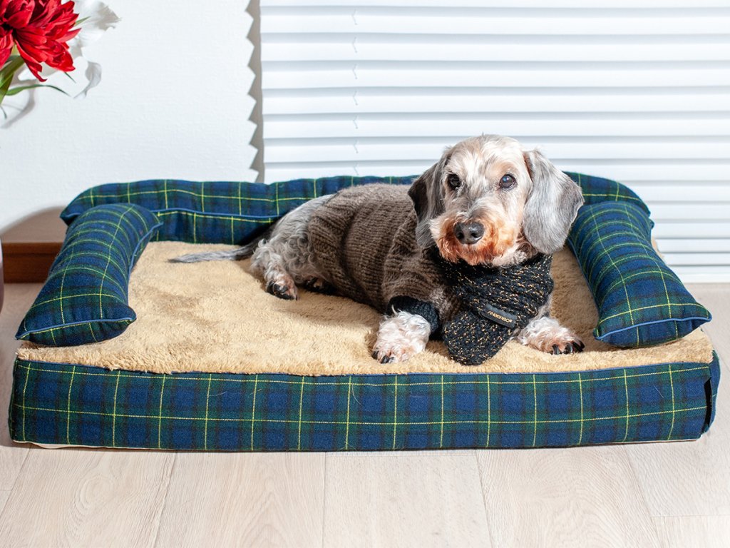 シニア犬 介護 ベッド