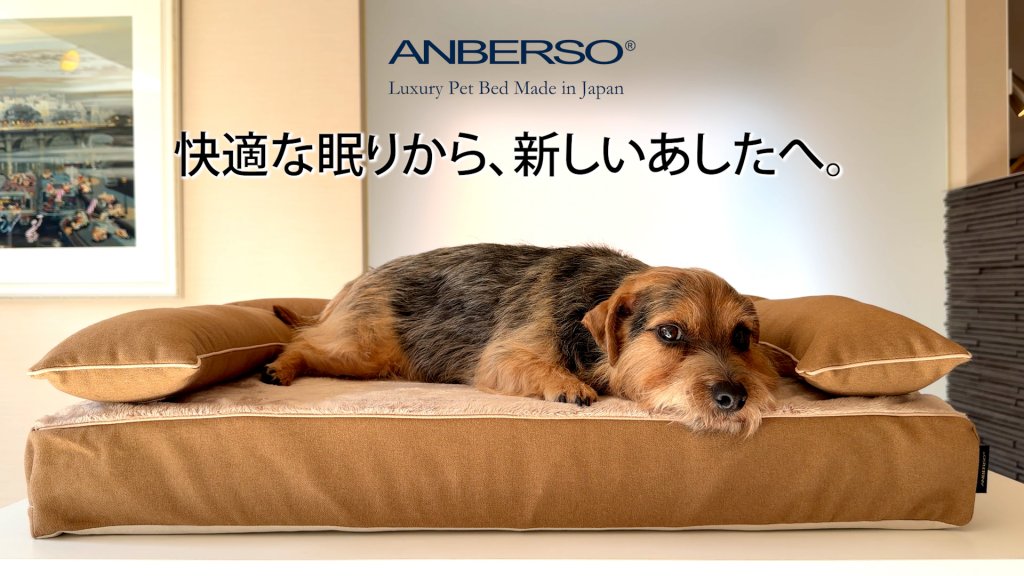 犬のベッド：体圧分散と復元力の実験
