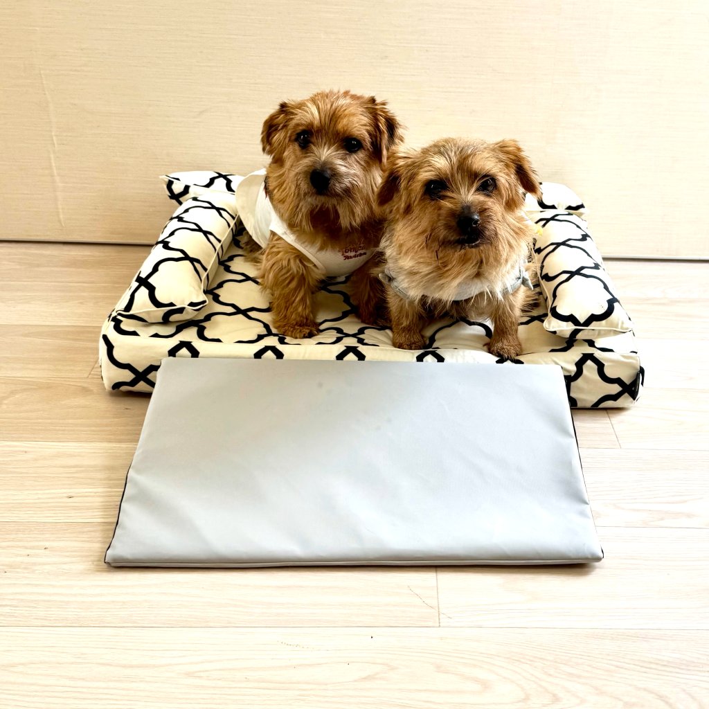 犬ベッド用スロープ【Sサイズ】　送料無料